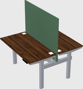 Shared electric desk