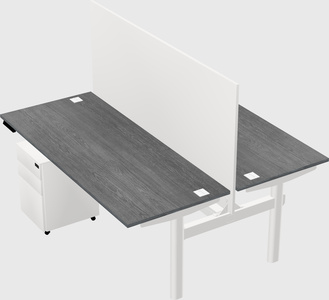 Shared electric desk
