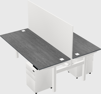 Shared electric desk