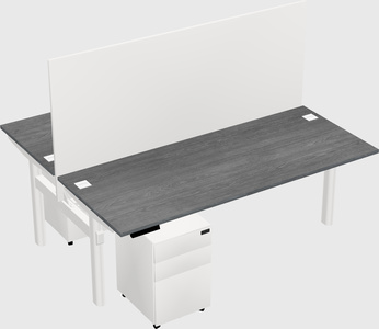 Shared electric desk