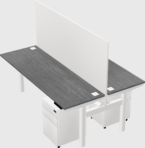 Shared electric desk