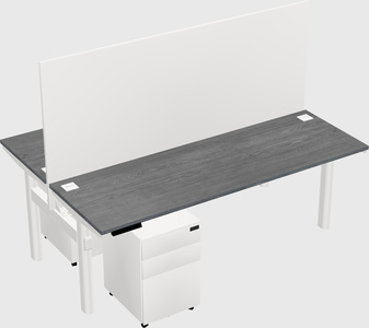 Shared electric desk
