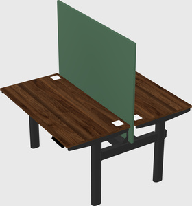 Shared electric desk