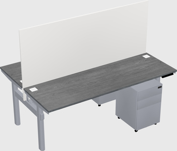 Shared electric desk