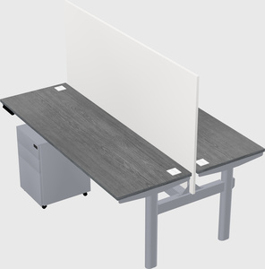 Shared electric desk