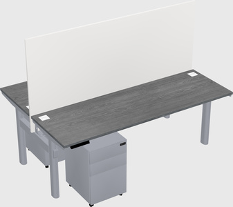 Shared electric desk