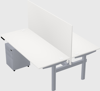 Shared electric desk