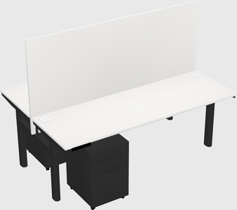 Shared electric desk