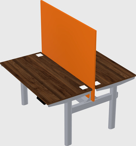 Shared electric desk