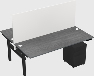Shared electric desk