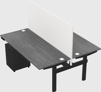 Shared electric desk