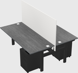 Shared electric desk