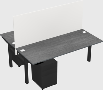 Shared electric desk