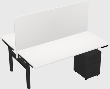 Shared electric desk