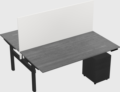 Shared electric desk