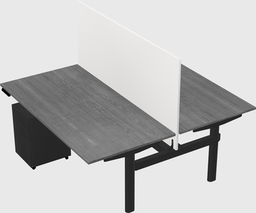 Shared electric desk