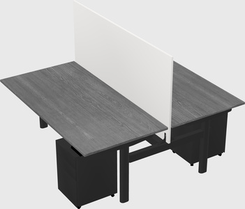 Shared electric desk