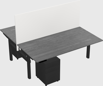Shared electric desk