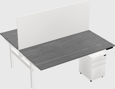Shared electric desk
