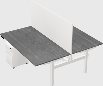 Shared electric desk