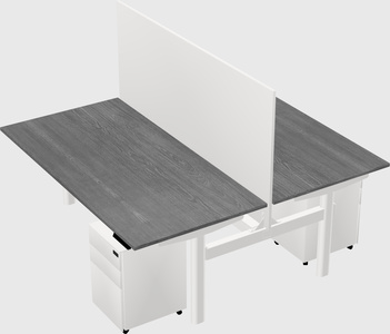 Shared electric desk
