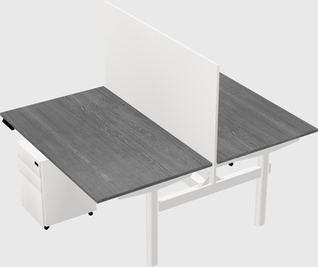 Shared electric desk
