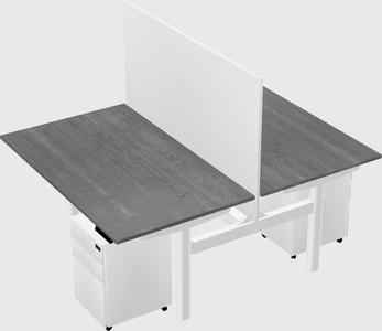 Shared electric desk