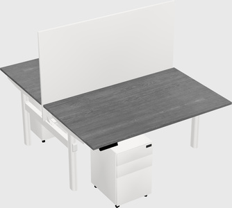 Shared electric desk