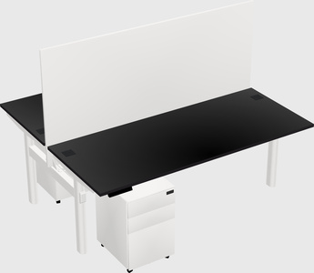 Shared electric desk