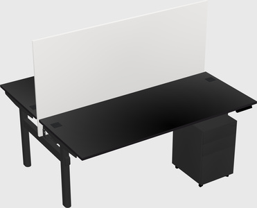 Shared electric desk