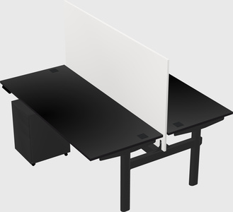 Shared electric desk