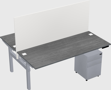 Shared electric desk