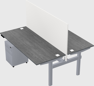 Shared electric desk