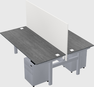 Shared electric desk