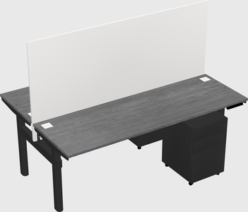 Shared electric desk
