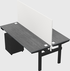 Shared electric desk