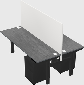 Shared electric desk
