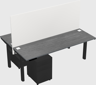 Shared electric desk