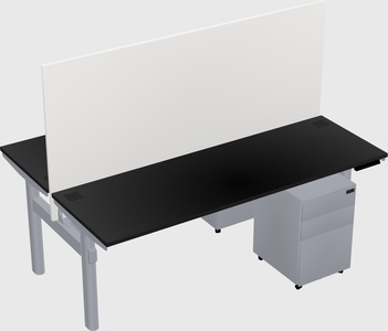 Shared electric desk