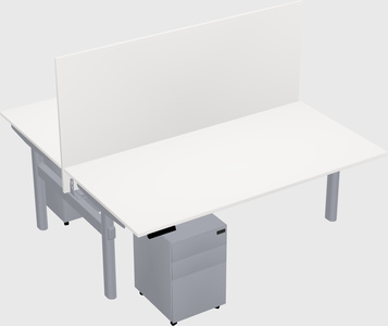 Shared electric desk
