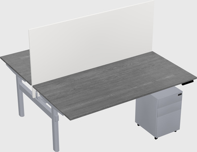 Shared electric desk