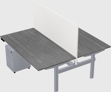 Shared electric desk
