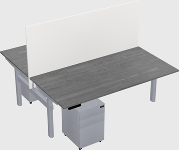 Shared electric desk