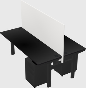 Shared electric desk