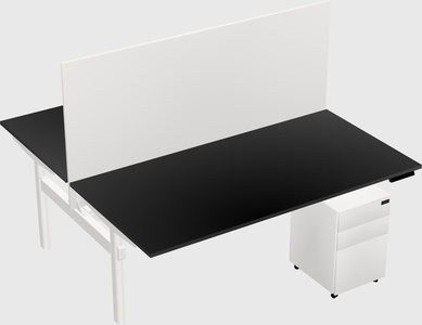 Shared electric desk