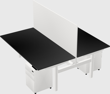 Shared electric desk