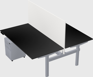 Shared electric desk