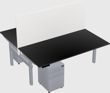Shared electric desk