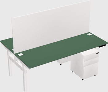 Shared electric desk