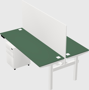 Shared electric desk